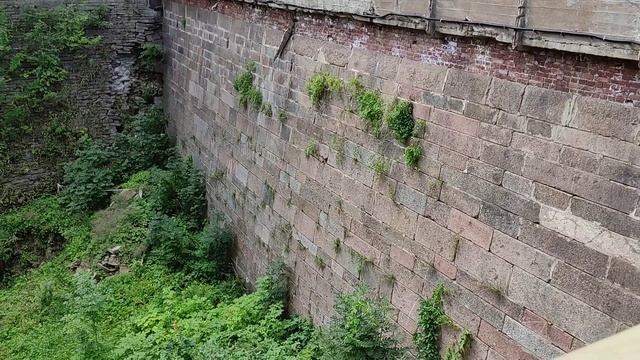 Кронштадт, Петровский док