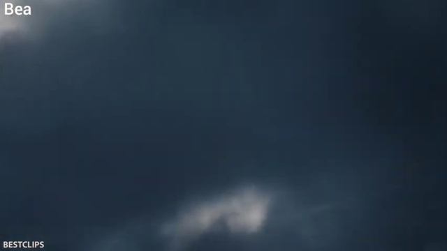 Jarvis scan this n word balls please смотреть онлайн