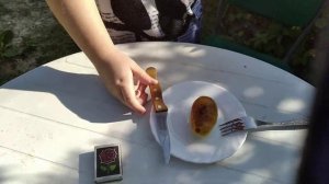 Крым. 2020г. Наш первый урожай азимины.