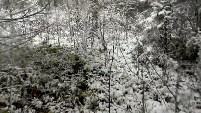 В Москву по первому снегу / To Moscow on the first snow смотреть онлайн