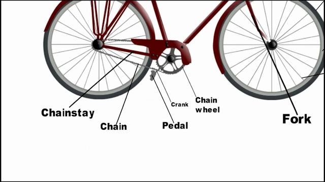 Important Parts Of A Bicycle | BIKE PARTS In English Vocabulary