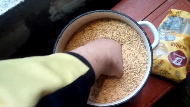 состав корма для зебровой амадины смотреть онлайн