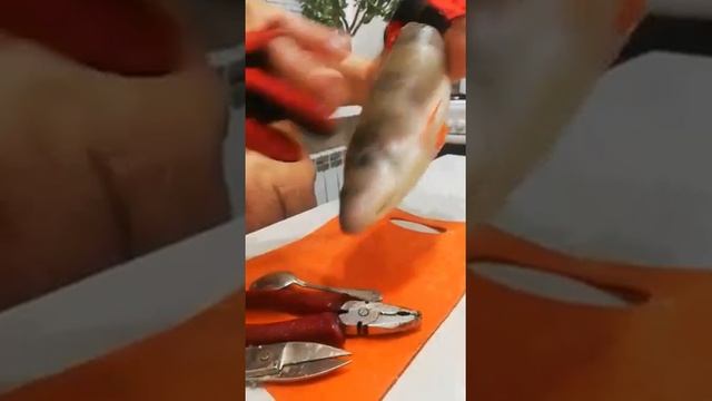 Как почистить окуня ножницами!
