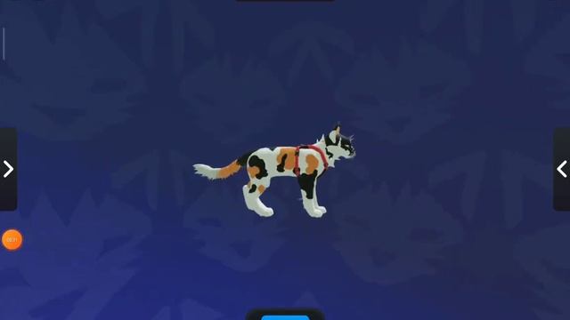 /Идеи для скинов/ Warrior Cats WCUE/ Official Video/