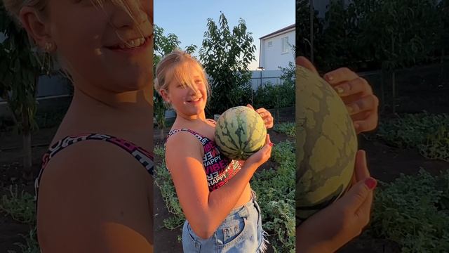 Собрали с внучкой немного урожая! Скучаю❤️ #краснодар #арбуз #виноград смотреть онлайн