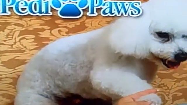 Pedi Paws Lipstick 0001 смотреть онлайн