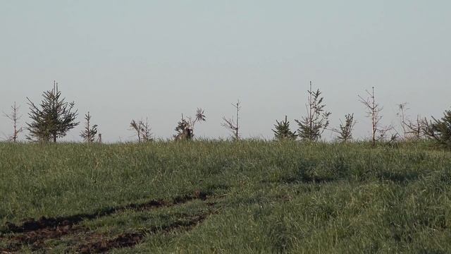 New York - Pennsylvania Turkey Hunt смотреть онлайн