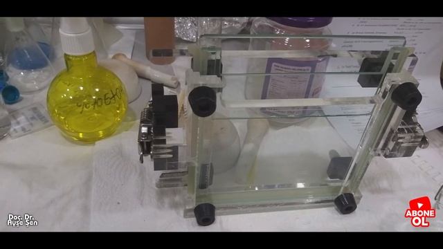 Proteinleri de gösterebiliyoruz смотреть онлайн