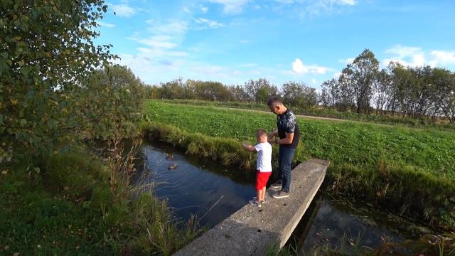 ВЫХОДНЫЕ НА ДАЧЕ. СТРЕЛЯЕМ ИЗ АРБАЛЕТА. ПРИЛЕТЕЛИ УТКИ. смотреть онлайн