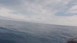 Плавание на яхте через океан.  Заключительная часть.