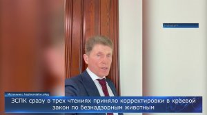 Губернатор Приморского края о законе по бездомным животным