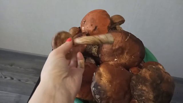 Заморозка грибов. Грибы 2020 октябрь.2 ведра подберезовиков. смотреть онлайн