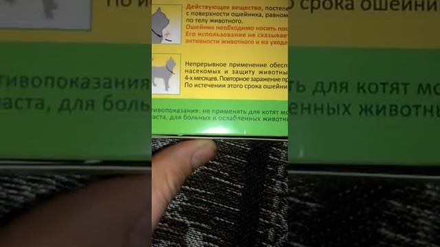 подарок коту смотреть онлайн