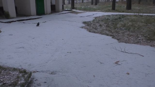 Сибирские просторы! Первый снег! смотреть онлайн