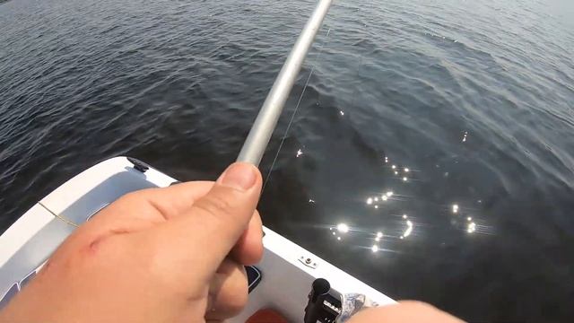 Ловля сома , ГИГАНТЫ ломают снасти. Fish cat from Russia смотреть онлайн