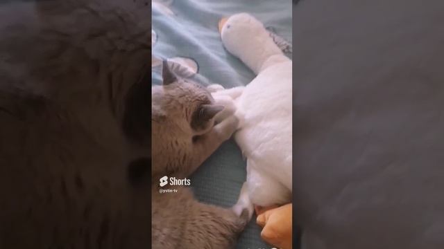 - А с этими, друг Костян, мы ещё разберёмся! ("Грозовые ворота"). #shorts смотреть онлайн