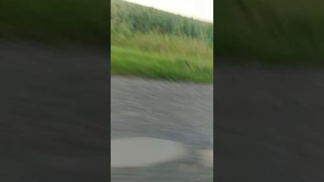 Покатушки на мотоциклах | Поехали в соседний посёлок смотреть онлайн