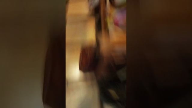 прятки по всей квартире смотреть онлайн