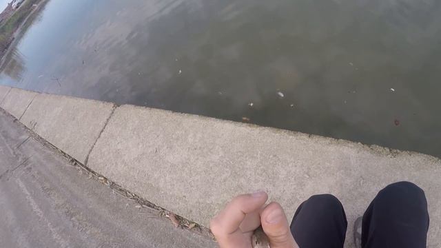 Мормышинг в городе на запрессованном пруду. В конце октября. смотреть онлайн