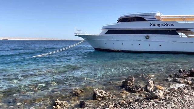 Египет. Хургада.Отель ZYA REGINA RESORTS. Территория, пляж и Красное море🌊 смотреть онлайн