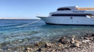 Египет. Хургада.Отель ZYA REGINA RESORTS. Территория, пляж и Красное море🌊