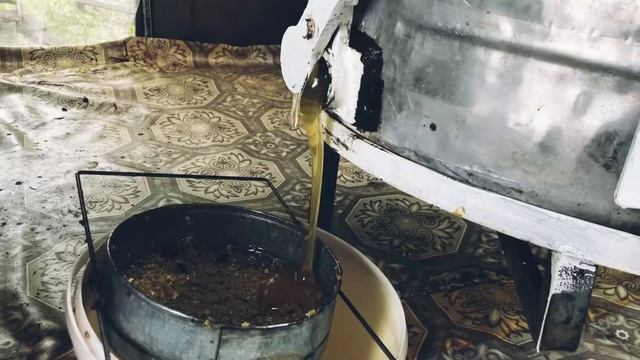 Сбор липы 2021 года смотреть онлайн