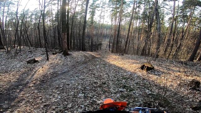 Lite Enduro | Эндуро Прохват в лесу | Самоизоляция 2020 | смотреть онлайн
