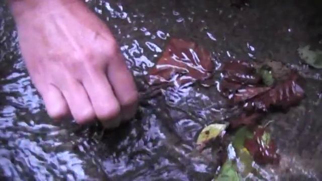 Отдых на черном море. Охота на краба. Красивое место. Прогулка по горной реке. смотреть онлайн