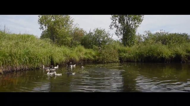Отец и Дочь. История в которой все счастливы. А ведь могло быть всё по другому…… смотреть онлайн