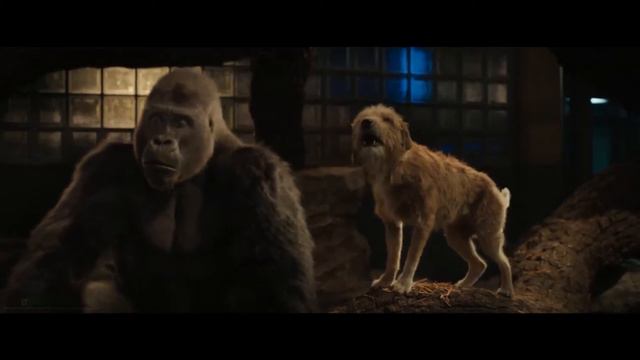 Айван был разлучен с семьей в раннем детстве. Фильм "Айван, единственный и неповторимый" смотреть онлайн