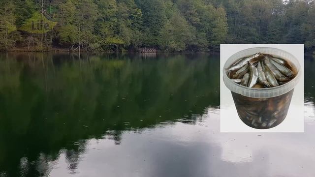 Выкиньте воблеры блесны и силикон. Обычная килька оказалась в 10 раз уловистее этого! Килька рыбалк смотреть онлайн