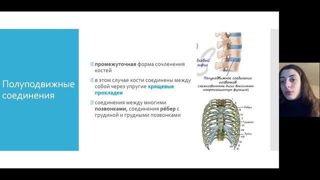 Видеоурок. Скелет человека. 8 класс смотреть онлайн