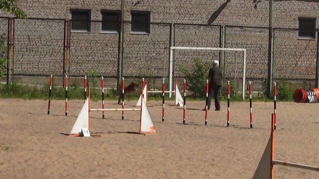 Джамипнг+Качель Каяндер Татьяна Ирландский терьер ТЕРРА ИРКО ЖАККАРД смотреть онлайн