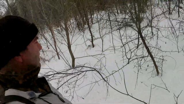 Погоняли с Русской гончей зайца русака. смотреть онлайн