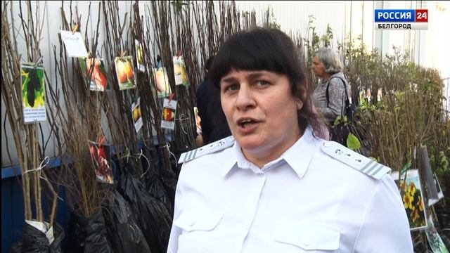Специалисты Россельхознадзора рассказали, как правильно выбрать саженцы смотреть онлайн