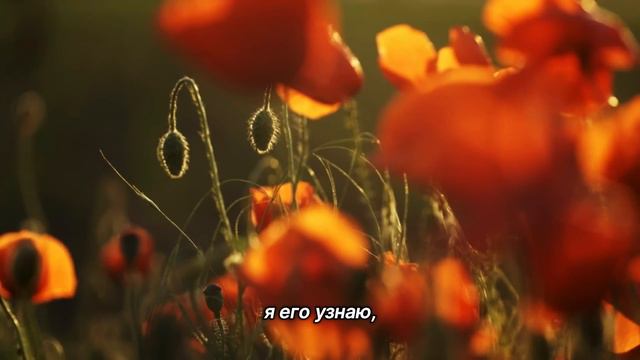 "Четвертый Шаг". 11 сентября. Мужество меняться. Ежедневник для созависимых. смотреть онлайн