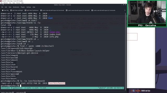 Hacking the Proving Grounds: Geisha and BBSCute смотреть онлайн