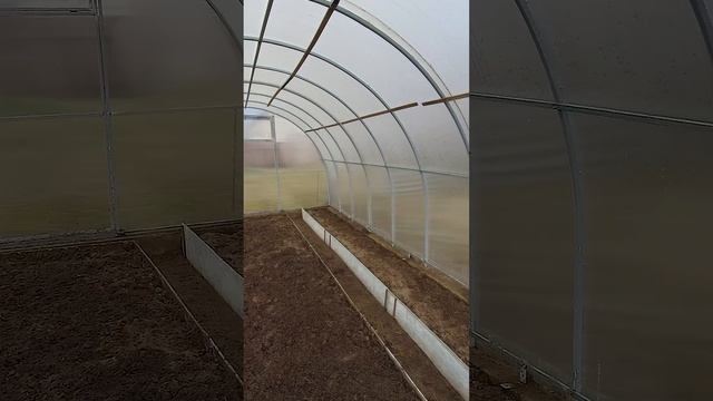 А Вы уже сделали Это? смотреть онлайн