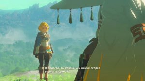 Линк в шоке от диалогов Зельды