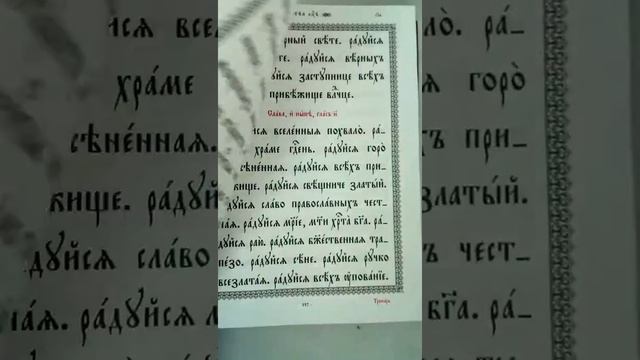 Правильник смотреть онлайн