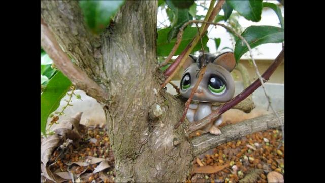 Littlest Pet Shop Spring Photo Shoot смотреть онлайн