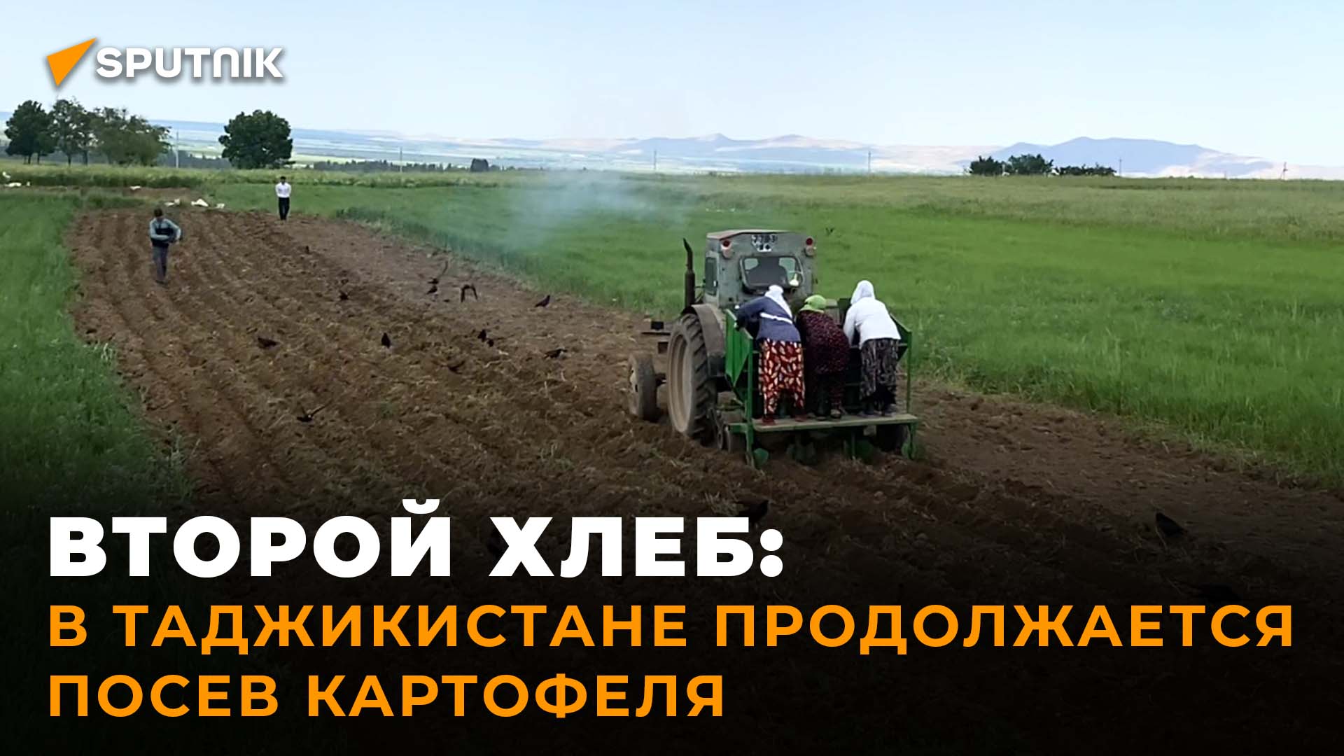 Как сажают картофель в Таджикистане? смотреть онлайн