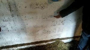 #Вентиляция в курятнике. #Правильный монтаж.