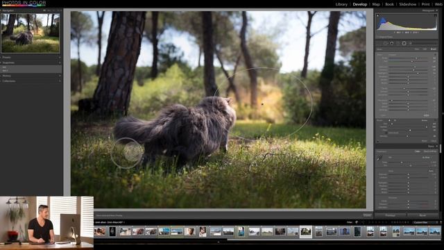 Lightroom 6 / CC full edit - Enhancing a story смотреть онлайн