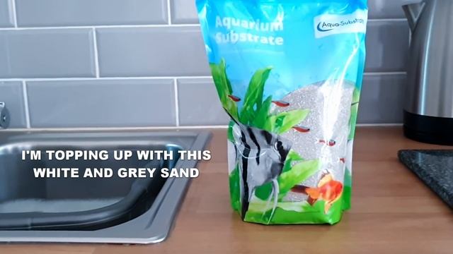 No co2 !! AMAZING GROWTH...HOW?? 4 MONTH Old Planted Aquarium AQUASCAPE смотреть онлайн