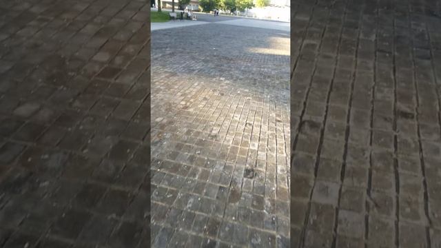 Тротуарная плитка из дерева смотреть онлайн