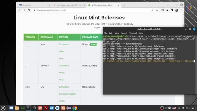 PgAdmin 4, Linux Mint 21.1 Cinnamon Installation.