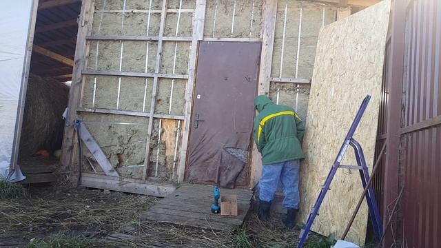 Обшиваю коровник OSB , что с Телушей? смотреть онлайн