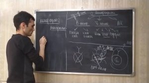 Физиология крови. Общая характеристика лейкоцитов: моно- и лимфоциты, нейтро- и эозинофилы и базофи