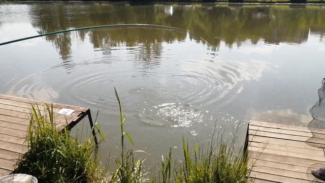 Светлые Горы Линь5 15.06.2023г. смотреть онлайн